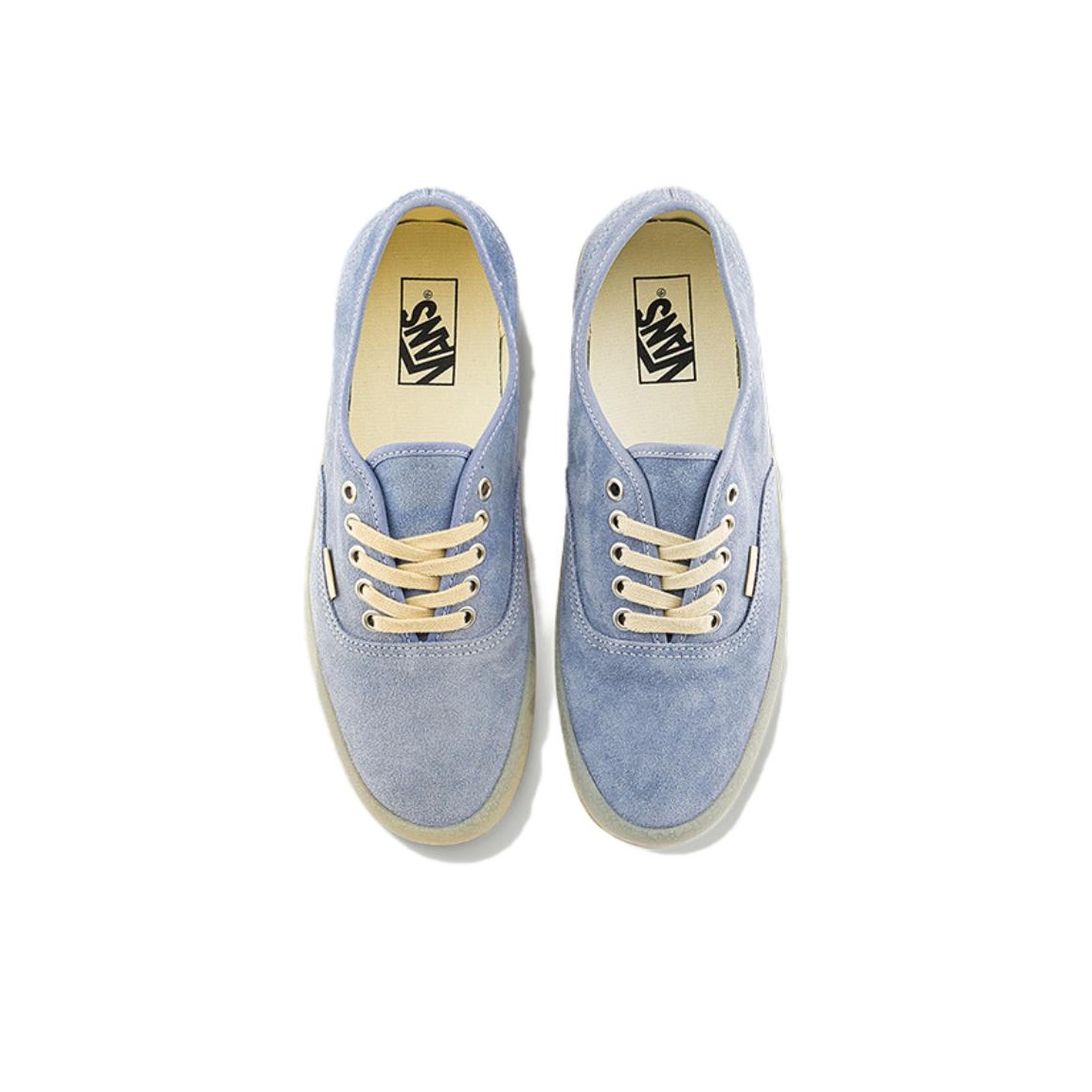 حذاء فانز أوثنتيك منخفض الرقبة - مراجعة Vans Shoes Authentic وسعره