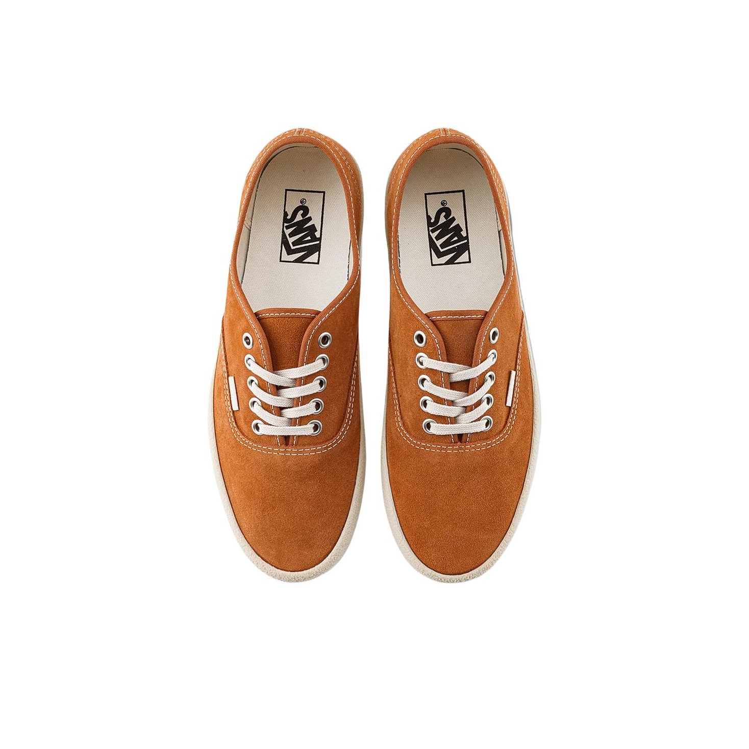 حذاء فانز أصلي منخفض الارتفاع  - مراجعة Vans Shoes Authentic وسعره