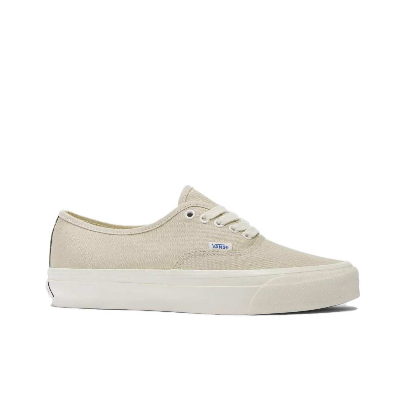 أحذية فانز أوثنتيك للسكات بورد - مراجعة Vans Shoes Authentic وسعره